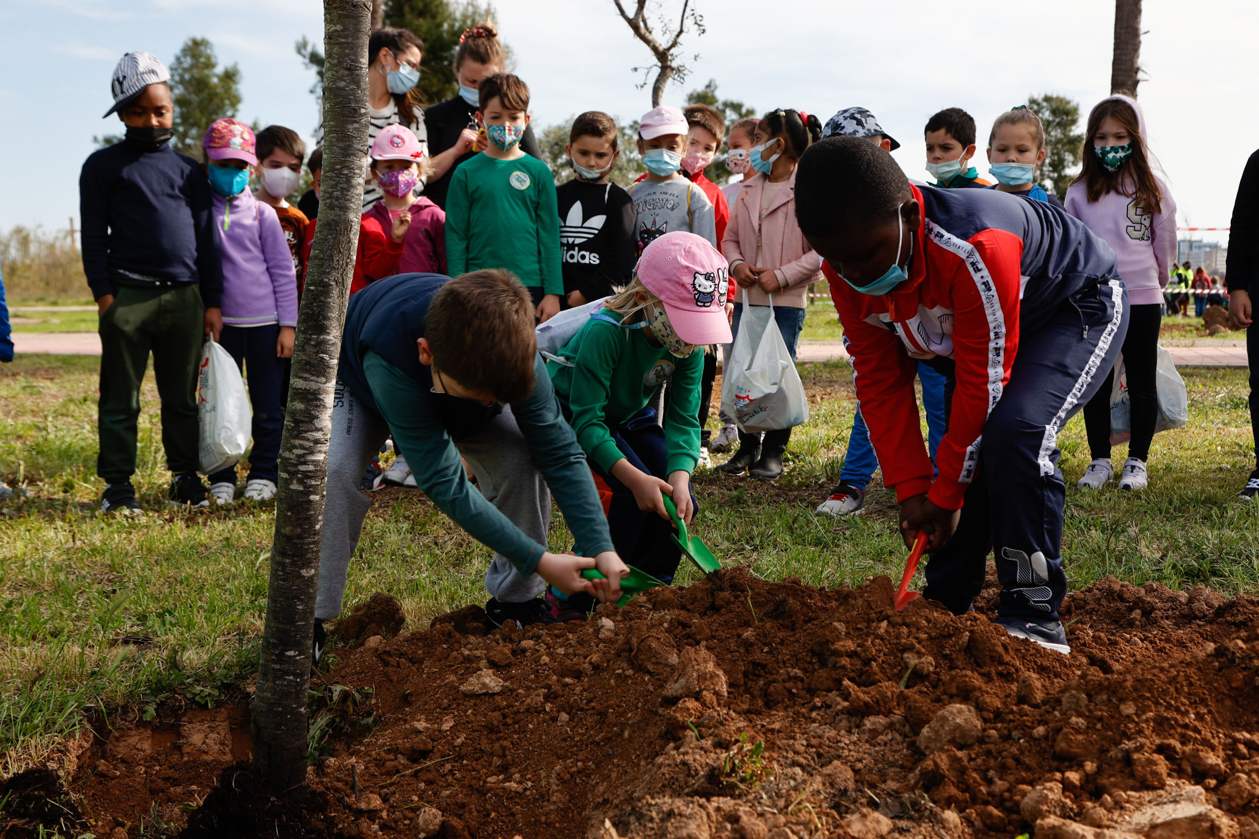 Más de 700 escolares participan en una plantación de árboles en Mislata |  Mislata