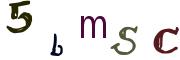 Imatge CAPTCHA
