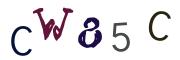 Imatge CAPTCHA