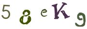Imatge CAPTCHA